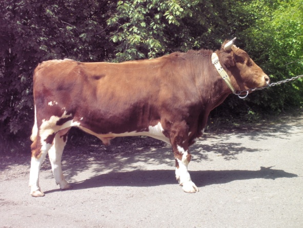 ВАРИАНТ 21682 КСКП-176